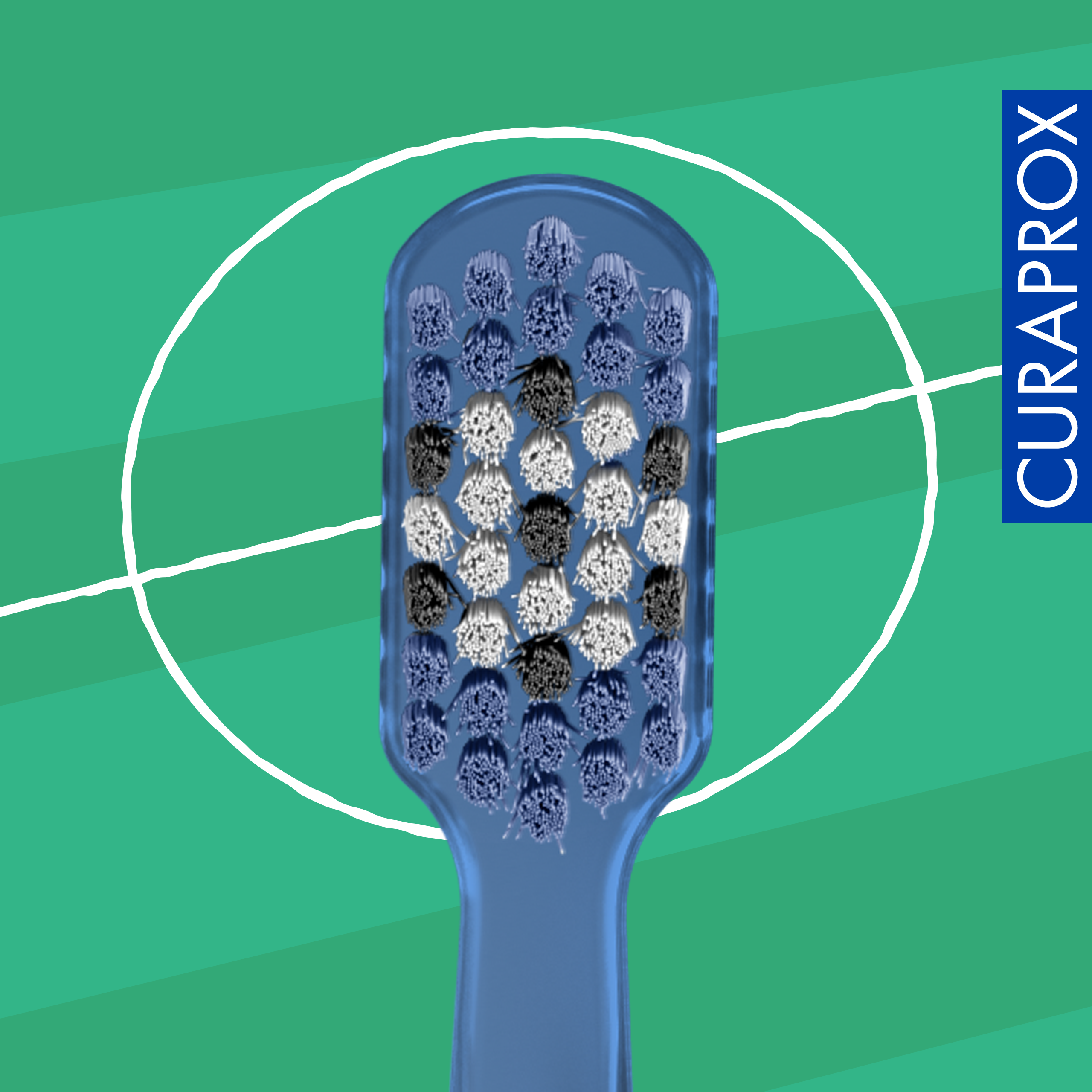 CS 5460 Football Edition 2026. 2 pcs - Image 7